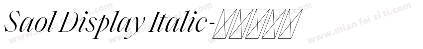 Saol Display Italic字体转换